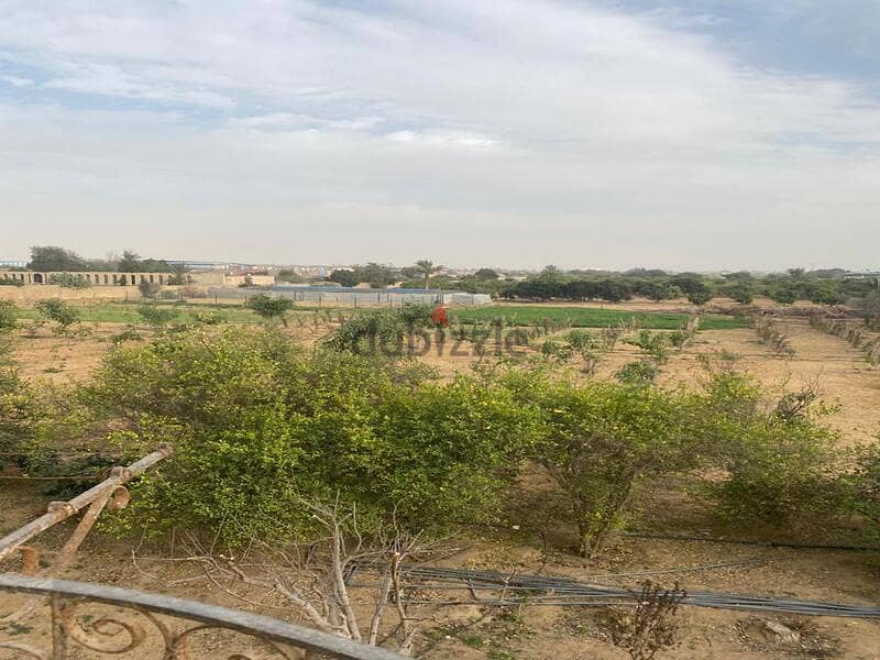 مزرعة 67,200م مزروعة عليها فيلا متشطبة ب جمعية أحمد عرابي مدينة العبور 7
