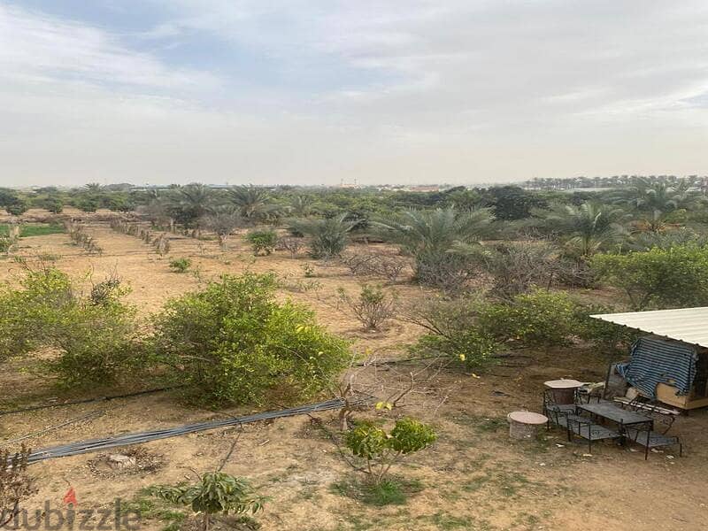 مزرعة 67,200م مزروعة عليها فيلا متشطبة ب جمعية أحمد عرابي مدينة العبور 10