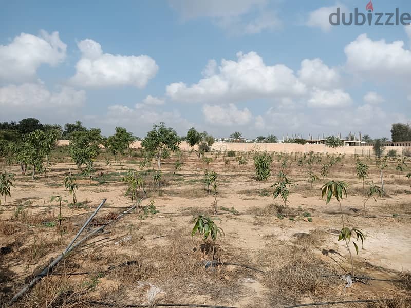 مزرعة 67,200م مزروعة عليها فيلا متشطبة ب جمعية أحمد عرابي مدينة العبور 12