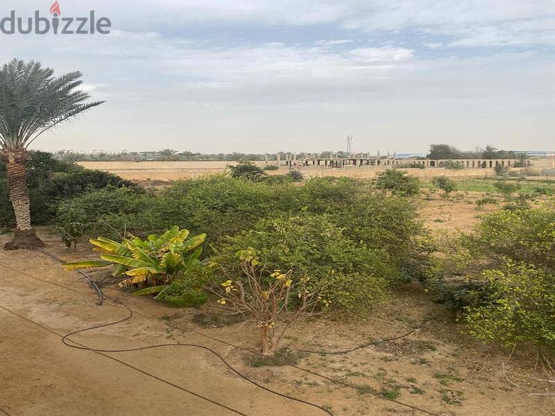 مزرعة 67,200م مزروعة عليها فيلا متشطبة ب جمعية أحمد عرابي مدينة العبور 18