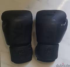 Boxing Golves ( Black Venum )