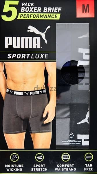 Puma boxer 1