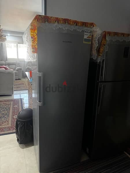 white whale freezer for sale 2