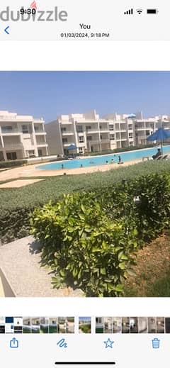 apartment 1st use in sokhna, long term rent