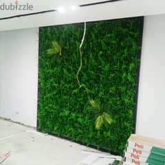 جرين وول للحوائط green wall تجاليد حوائط، ديكورات حوائط للبيع