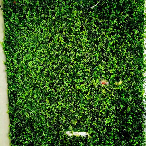 جرين وول للحوائط green wall تجاليد حوائط، ديكورات حوائط للبيع 4