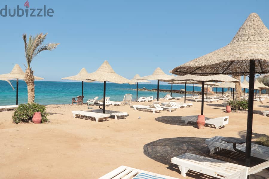 Your life in safety position - Private beach - Hurghada - 11