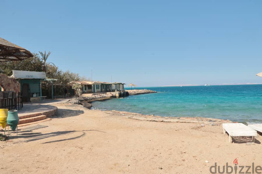 Your life in safety position - Private beach - Hurghada - 12