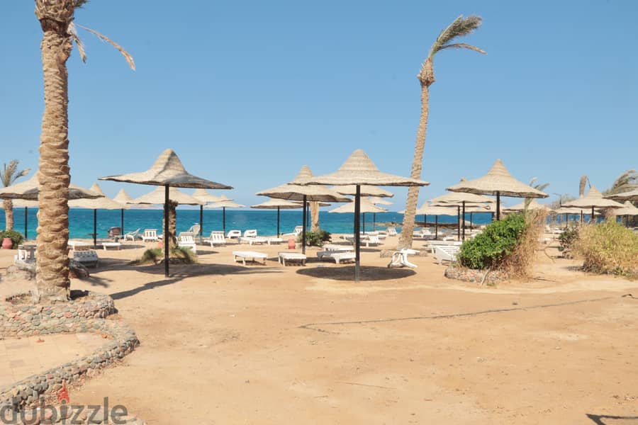 Your life in safety position - Private beach - Hurghada - 13