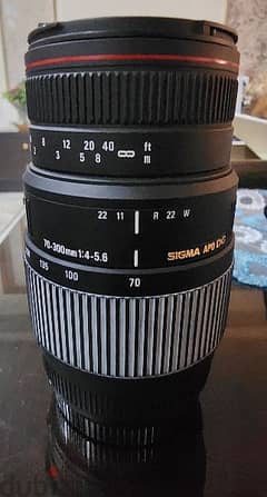 Sigma Apo DG 70-300 mm - 1:4-5.6