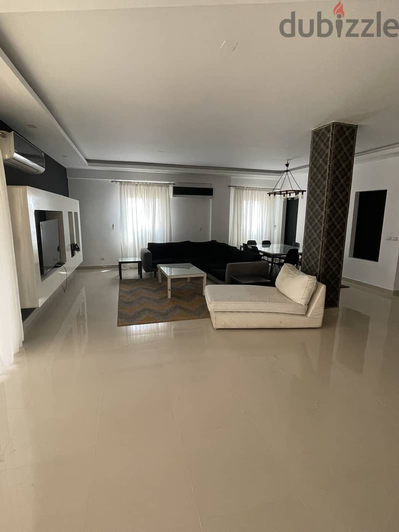 Luxury penthouse for rent 16