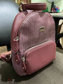 David jones backpack used in excellent condition