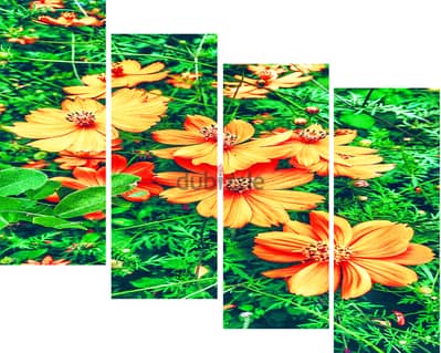 مجموعات لوحات تزيين الحوائط