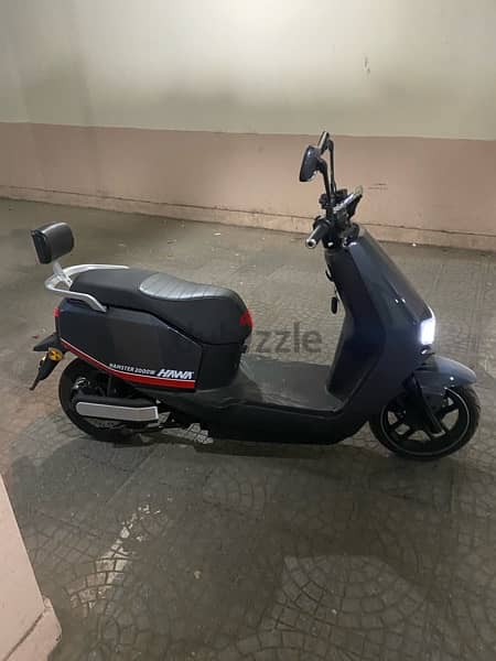 electric scooter tailg 4