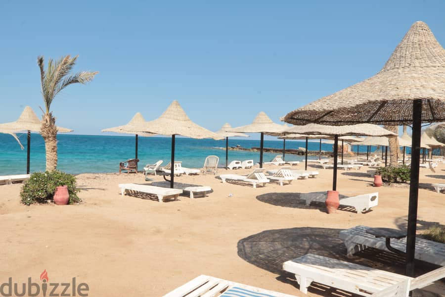 Your life in safety position - Private beach - Hurghada - 10