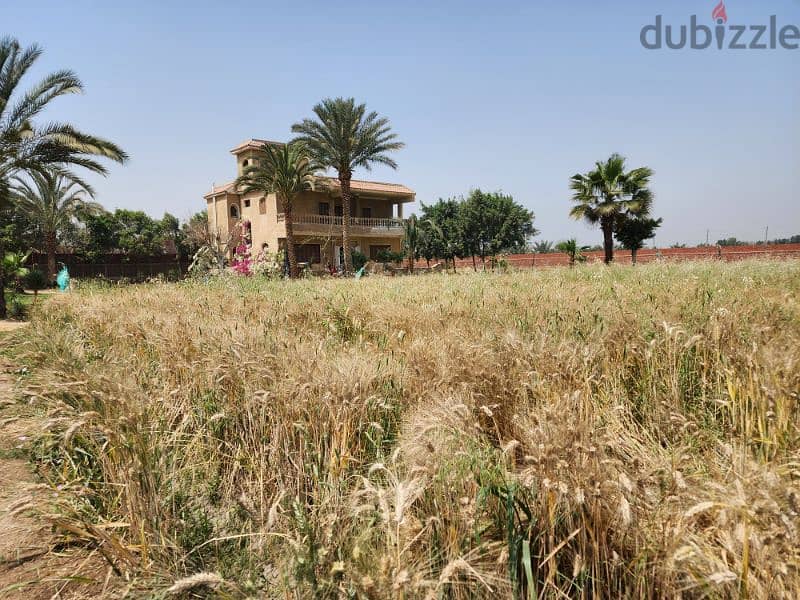 لراغبى السحر والجمال أرض زراعية بها فيلا سكنية وحديقة قريبة للقاهرة 10