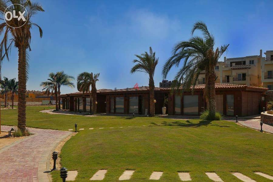 I own a chalet. All photos are from the land in Ain Sokhna 6