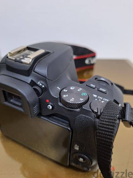 Canon 250D + lens 50 mm f1.8 + lens 18 55 + memory استعمال خفيف جدا 7