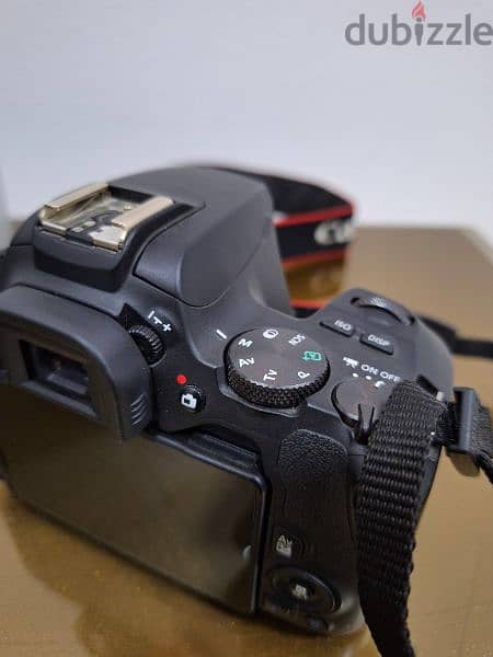 Canon 250D + lens 50 mm f1.8 + lens 18 55 + memory استعمال خفيف جدا 9