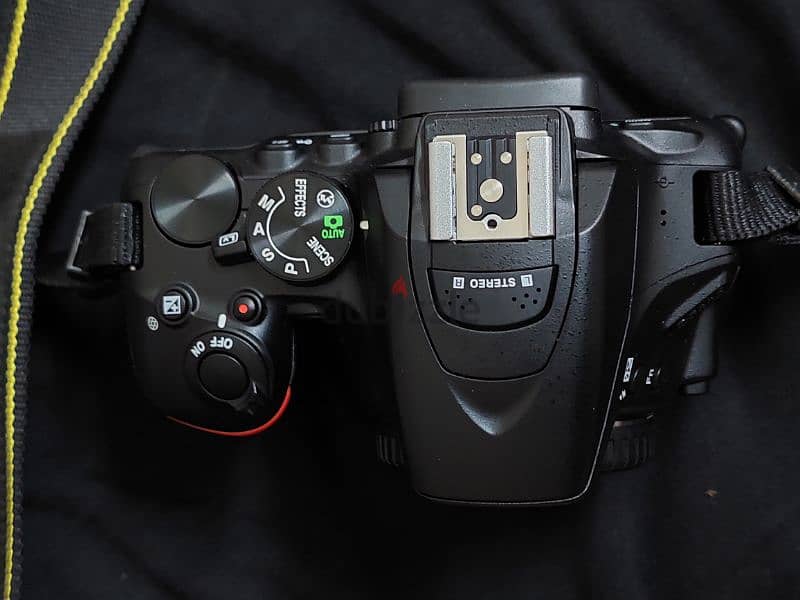 Nikon D6500 + Lens 18  55 12