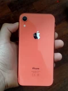 iPhone XR - 128 GB Rose