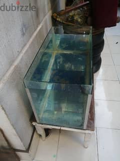 حوض سمك حجم كبير محمل زجاج ٦ مل