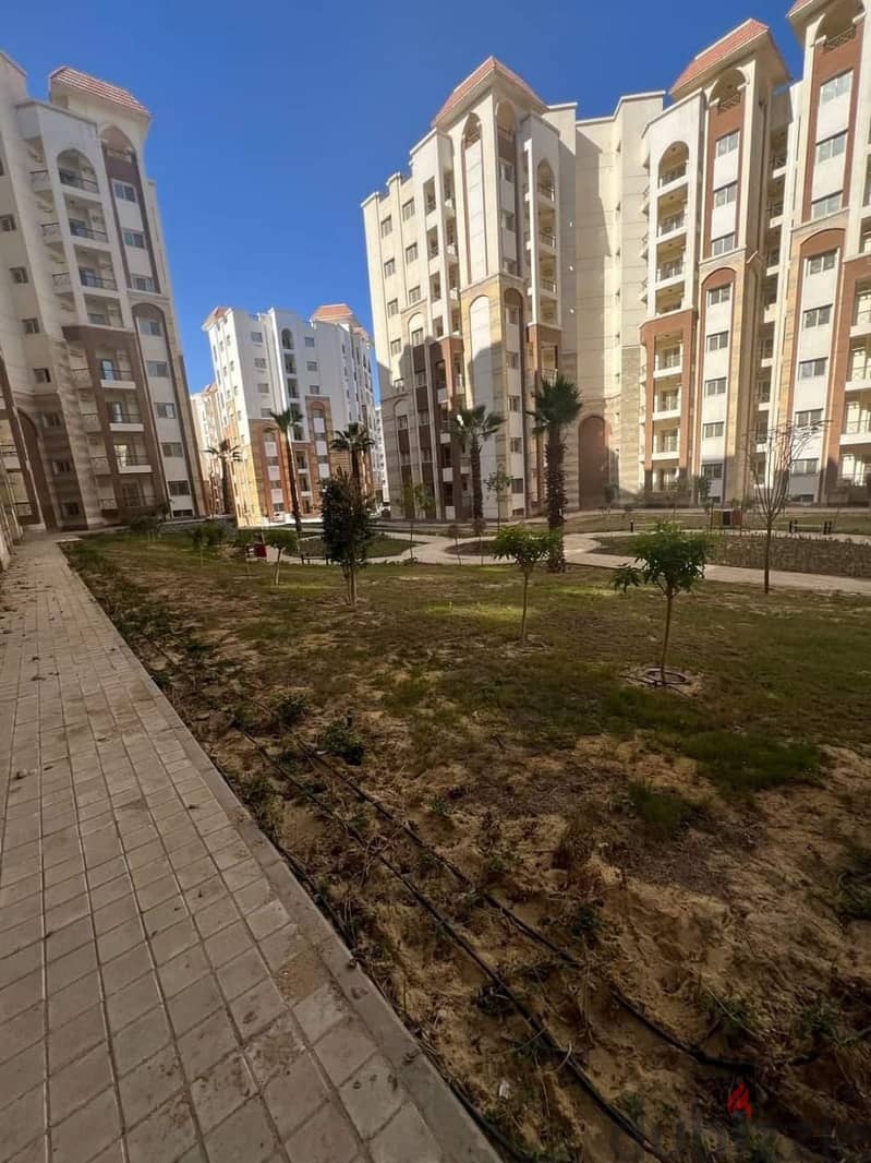 apartment resale in al maqsed prime location under market price 4