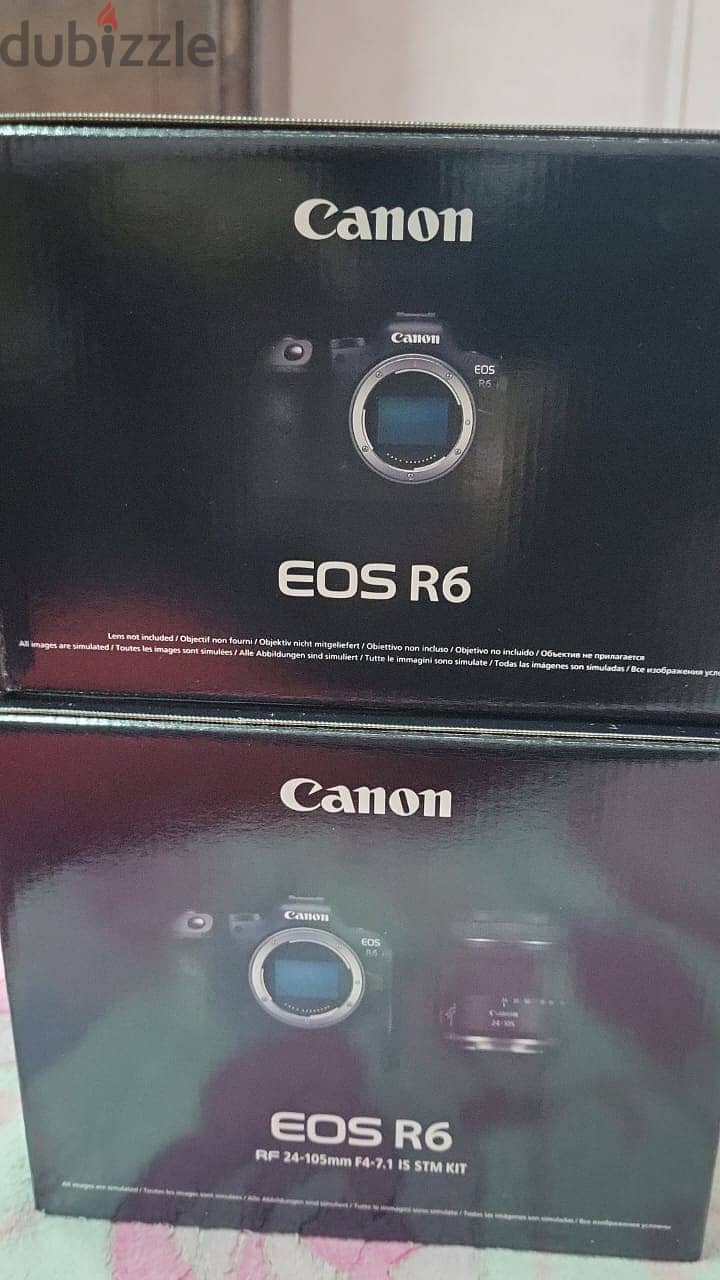 Canon EOS R6 Mirrorless Camera (Brand New)(Reduced Price)(Valu) 4