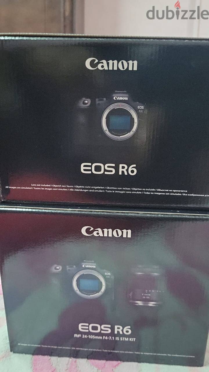 Canon EOS R6 Mirrorless Digital Camera(Brand New) (Reduced Price) 4