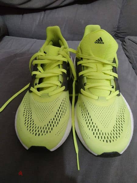 Adidas Shoes 1