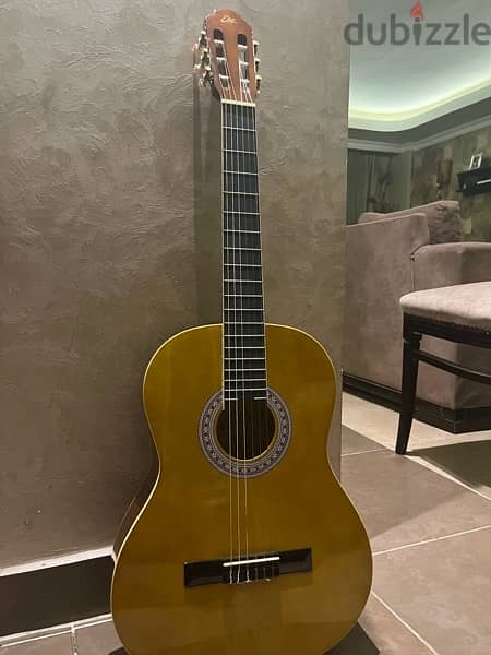 New EKO guitar 2