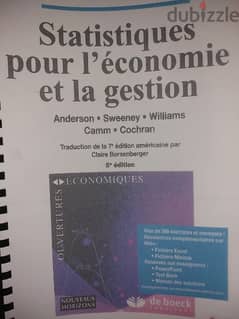Statistics for economy and management book