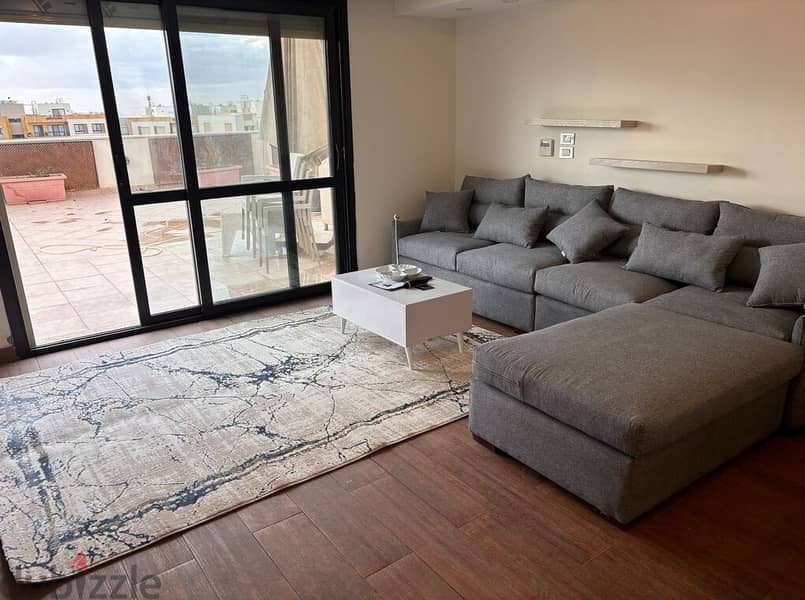 Furnished Studio with Roof for rent in Eastown 7