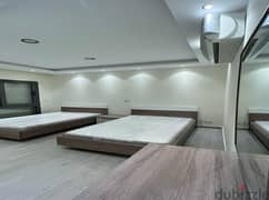 Fully furnished apartment for rent in Eastown 0