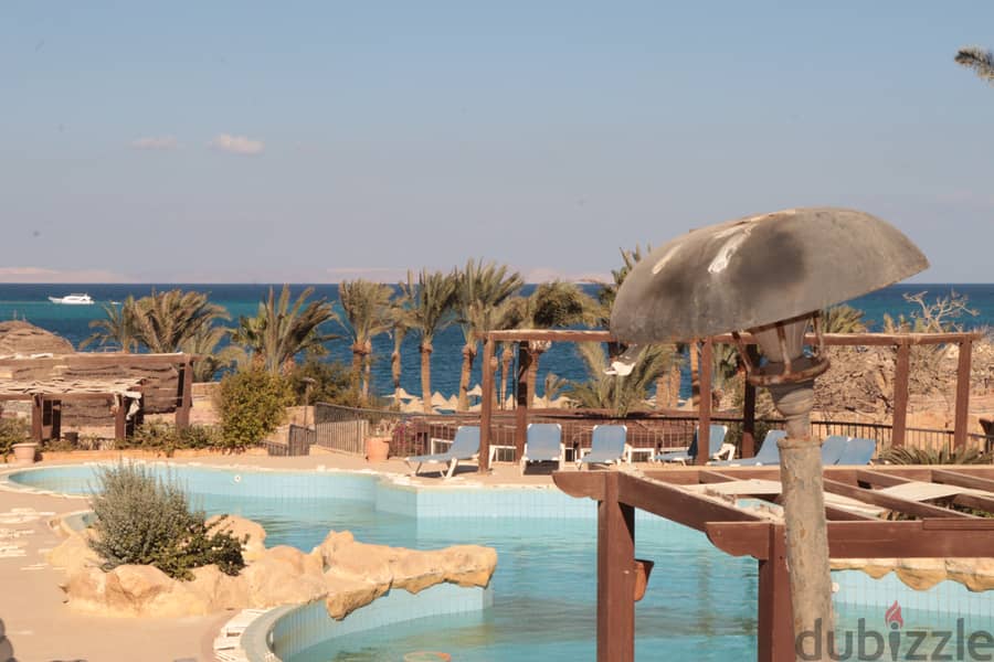 why you are going farway with us - Private beach - Restaurants - Cafés  - Hurghada 17