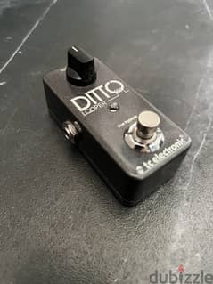 Used Ditto Looper Pedal