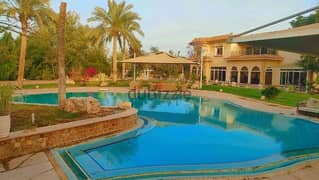 قصر للايجار اليومي بمسبح خاص في الشيخ زايد