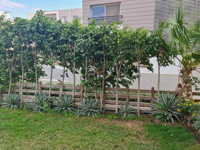 Furnished Apartment with Private Garden for Rent 6