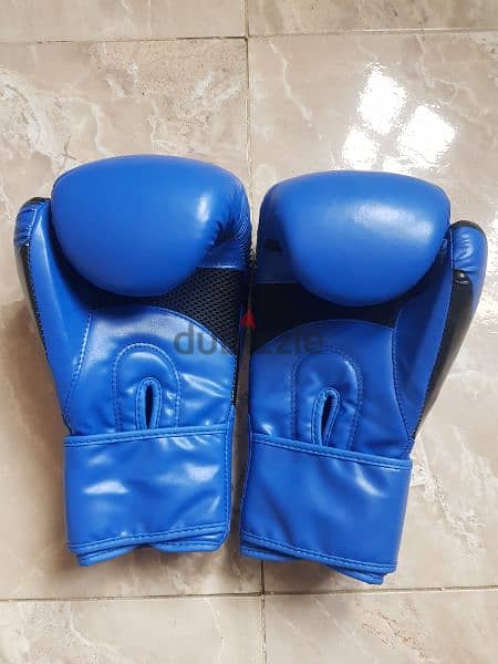 Boxing gloves قفازات ملاكمة 1