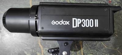 Godox DP300 II Head light 0