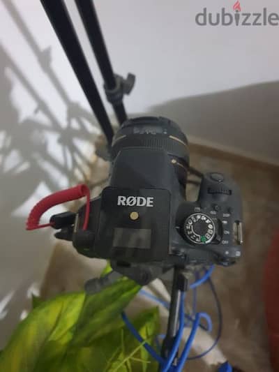 Rode go wireless