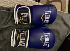 everlast boxing gloves