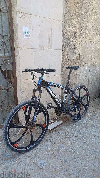 Italiano Bicycle 4