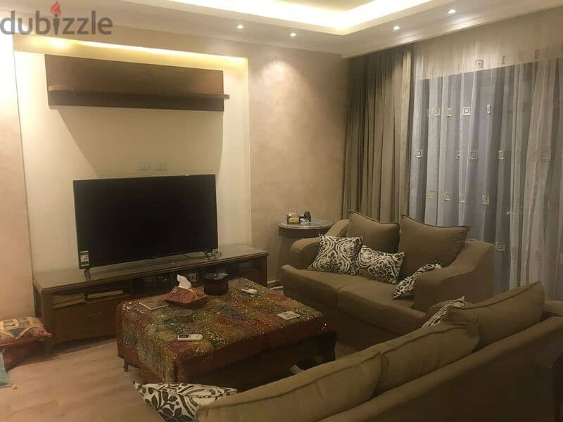 Furnished Apartment 163m for Rent in Eastown 1