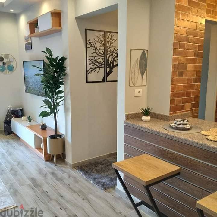 Special Apartment for rent Furnished Modern in Eastown 6