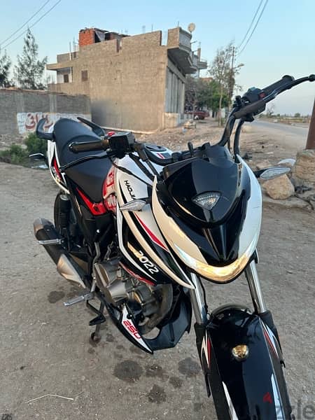 هوجن L 250 3