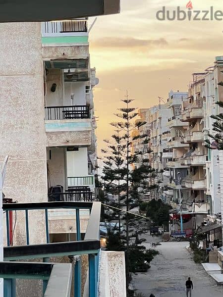 امتلك شقة في الإسكندرية شاطئ النخيل موقع ممتاز جدا نصيه 2