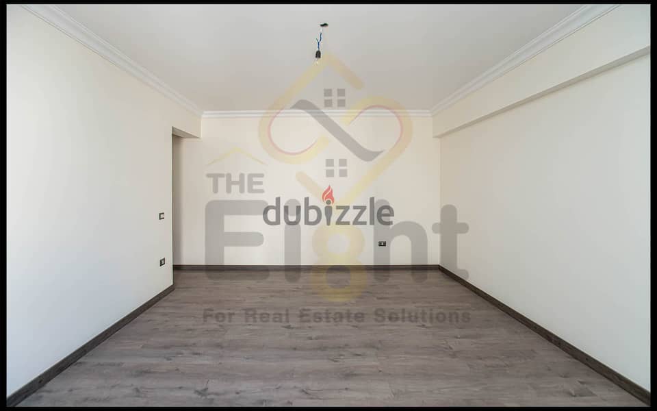 Apartment For Rent 245 m Louran (Shaarawy St. ) 15