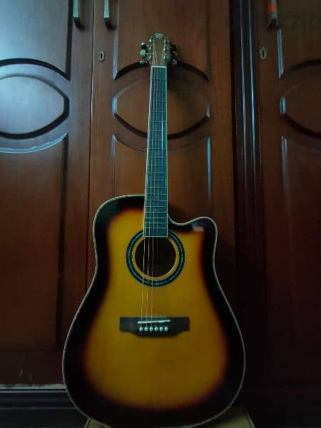 Chard acoustic guitar 1