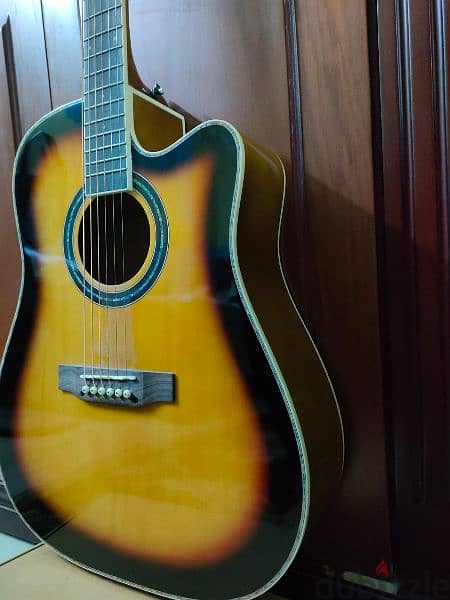 Chard acoustic guitar 2